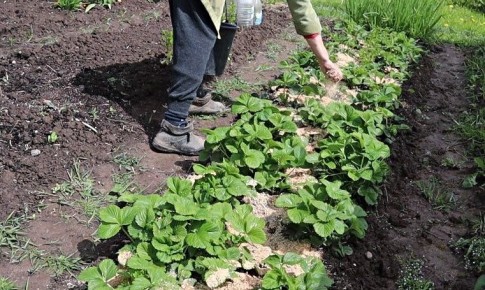 ��� �������� ��������� ������ �������� � ��������� ���������