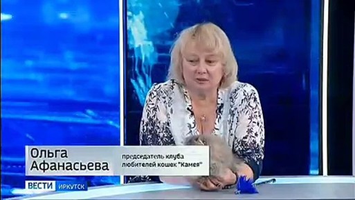 ����� ������ � ������������ ����� ��������� ����� ������� ����� ����������