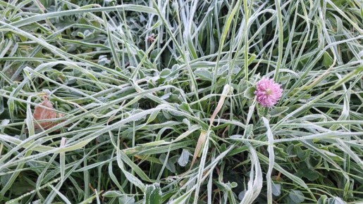 ��� ��������� ������: ������ �� ��������������� ���������