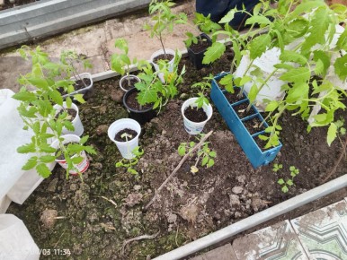 �������� ������ ��� �������� ������� �������