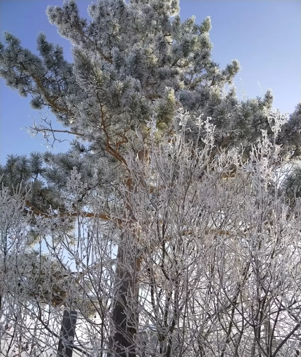 Как морозный день превратился в гастрономический кулинарный марафон
