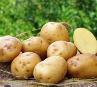 ��������� ����: ��������� ����� ��� ��������� ������ � ���������� ����