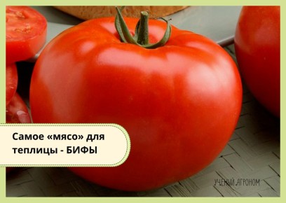 �������� ������ ��� ������: �������� �������� ����� ��� ������ �������