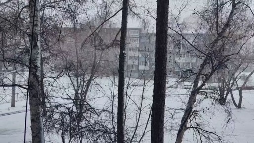 �������, �����, ������