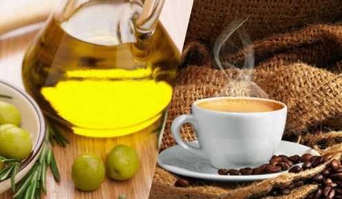 ���� � ��������� �����: ��������� ��������� ��� ��������