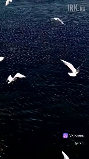 ��������! ��������! ��, ��� ����� ����� ���������� �����