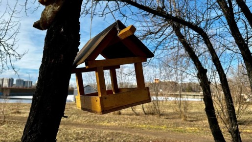 ������ ����, �������!