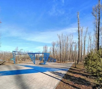 ������ ����, �������!. ������������� ���� ������ ������� � MAX