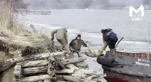 ���������� ������ ������ �� ������� ���� �� �������