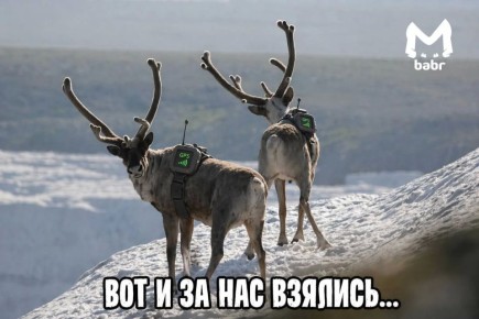 �������� ������ ������� ������� ����������� �������� � �������