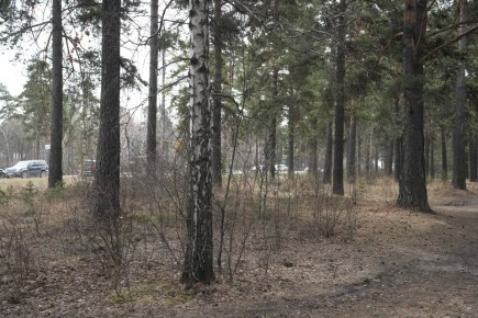 ������ ��������� ������� ����� ��������� �������� ����� ������ ������� ������ ����������