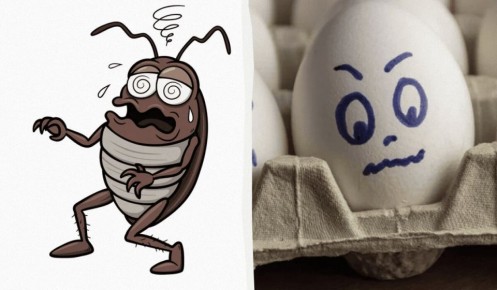 ��� �������� ���������� �� ������ ���������: ������ � ������