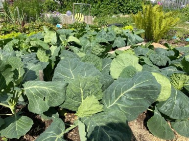 ��� �������� �������� ������� �� ����������: ����������� ������ ��� �����