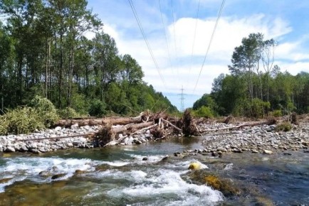 � ���������� ����� ��������� ����� ���� ������