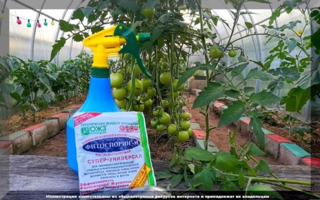 ��� ��������� ���������� ����: ��������� ����������� � ������� ������