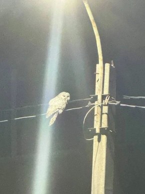 ���� � ����� ����� �� ������