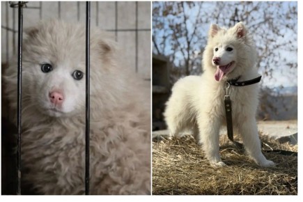 ����������� 5000 �� � ������ ������: ����� �� ������ ����, ��������� �� �������� �����, ����� ���