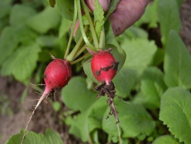 ����� ��������� ������ ������ ������ ��� ������ �������