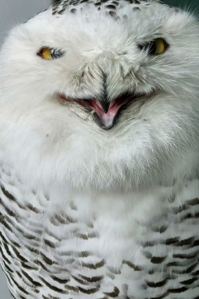 ���� ������������ ������������ � �������� ���� �� ���������� ��������