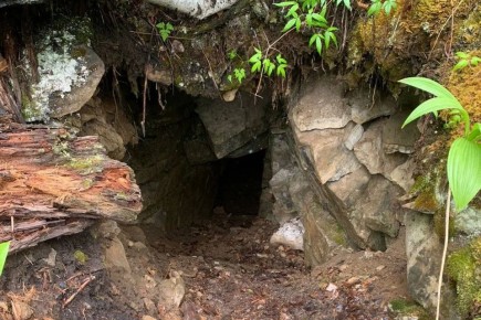 �������� ���� ��������� ������� ���������� ������ ���������� � ��������� �������