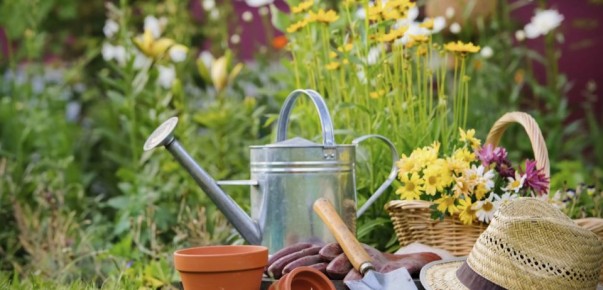 ��� ��������� ��� � ����: ������� ���� ��� ������ �� ������ � ����������