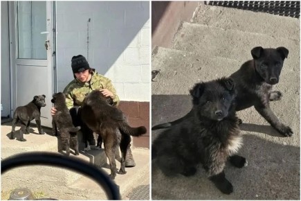 ����� ������ ��������� ����� � ������ ������� ���� ������ ��� ��������� ������ � ��������