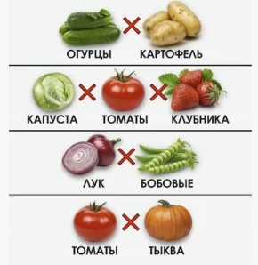 ������ ����� ��������� ��������� ������ �� ������: ����� ������ �����