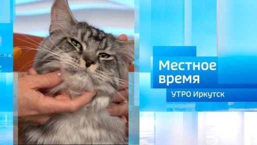 30 ��� ����� ������� � ����� �������� ���������� ����� / ����