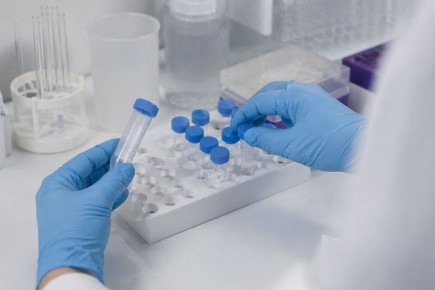 � ������ �������� ������������� �������� �� �������������� ���