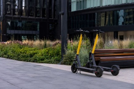 � ���� �������� ���������� ��������� ��������������� � ������ ���