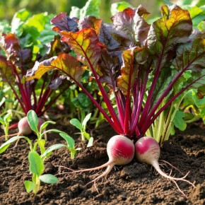 ������: ���� ����� � ������������ ��������, ������� ���������� ���� �����