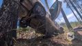 ����� ������: �������� ������ ��������� ������� �� 14 �� ������������ ������