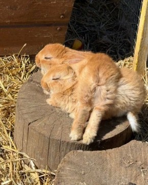 ������ ����, ��������� �������!