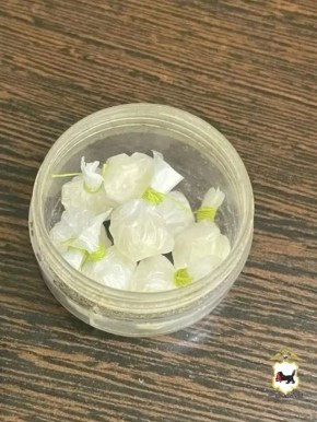� ������� ��������� �������� ������������� ����������, �������� � ���