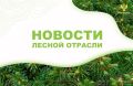 StolicaMedia: ������������ ����������� �������� � ������ �������������� ������� � �������