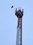 МТС расширяет покрытие 4G в Иркутской области с помощью российского оборудования