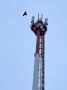 Высокоскоростной мобильный интернет покрыл ещё 15 районов Иркутской области