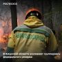 Дополнительные силы направят на тушение крупного лесного пожара в Белогорском лесничестве Амурской области