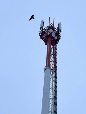 Высокоскоростной мобильный интернет покрыл ещё 15 районов Иркутской области