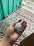 В Баяндае выпал град. @incident_138