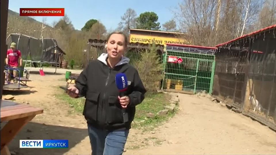 К летнему периоду готовятся в Сибирском зоопарке