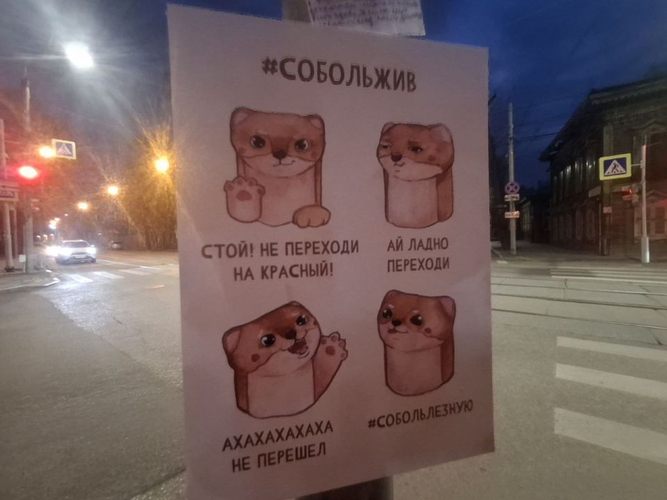 Соболь не просто жив, а вышел на службу в ГАИ