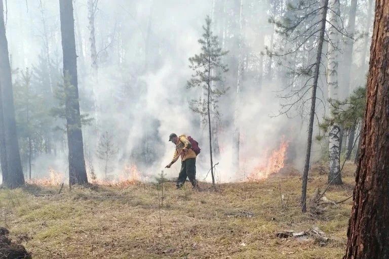 В Иркутской области ликвидированы два лесных пожара