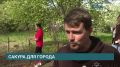 Аллея сакуры появилась в Иркутске