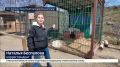 Вчера к нам приезжали в гости ВЕСТИ ИРКУТСК