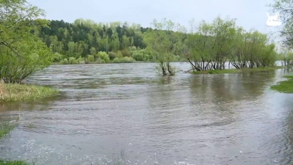 Река Иркут вышла из берегов из-за сильных дождей в Шелеховском районе