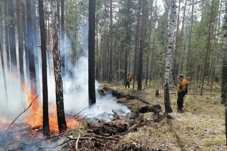 Четыре лесных пожара ликвидируют в лесах Иркутской области