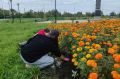 Более 10 тысяч школьников смогут поработать летом в Иркутской области
