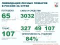 За прошедшие сутки в России потушено 65 лесных пожаров в 21 регионе