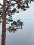 Доброе утро!. Сегодня по области переменная облачность, возможны кратковременные дожди и грозы